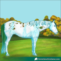 Horse Color:Thunderstruck Bay Splash Tobiano