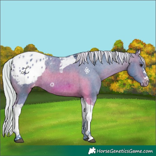 Horse Color:Watercolor Silver Bay Tobiano Appaloosa Rabicano 