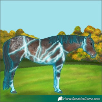 Horse Color:Thunderstruck Brown Tobiano 