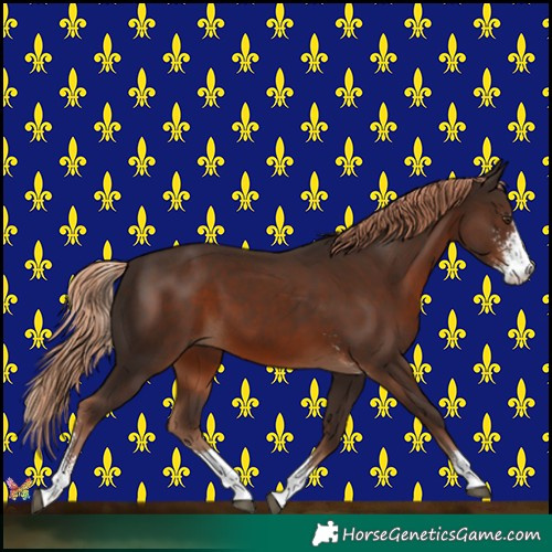 Horse Color:Liver Chestnut Sabino 