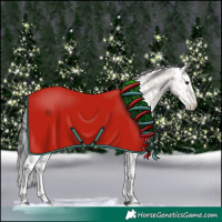 Horse Color:Brown Sabino 