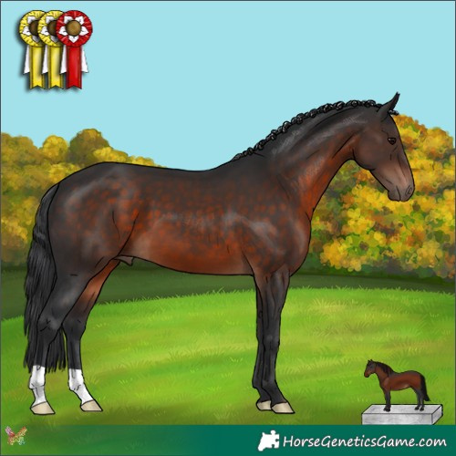 Horse Color:Brown 