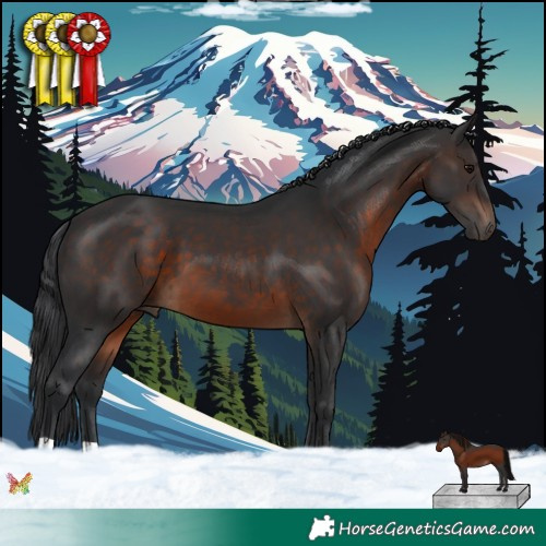 Horse Color:Brown 