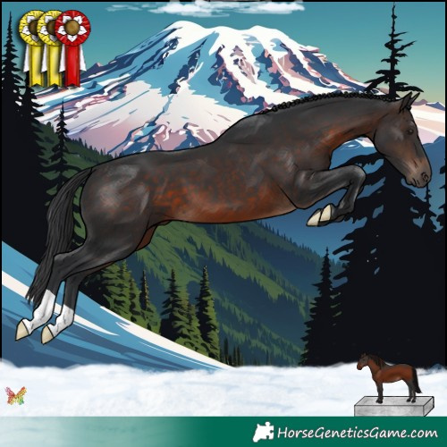 Horse Color:Brown 