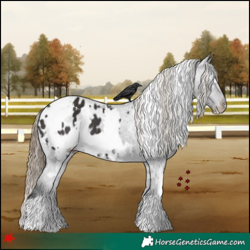 Horse Color:White Spotted Smoky Black Blanket