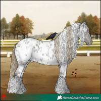 Horse Color:White Spotted Smoky Grullo Roan Near Leopard 