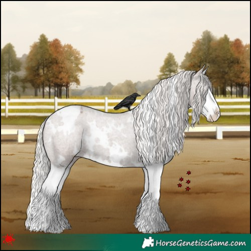 Horse Color:White Spotted Silver Blue Roan Splash Varnish 
