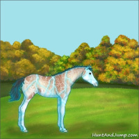 Horse Color:Thunderstruck Bay Ice Onyx Splash