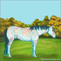 Horse Color:Thunderstruck Bay Ice Onyx 