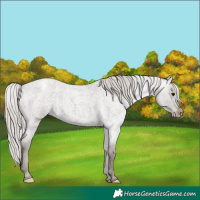Horse Color:Silver Blue Roan Varnish