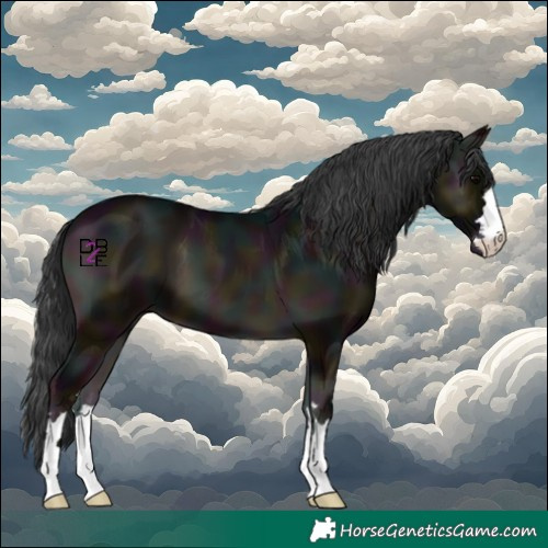 Horse Color:Midnight Blue Onyx