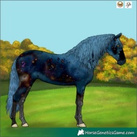 Horse Color:ERROR: UNKNOWN ANOMALY
