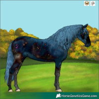 Horse Color:ERROR: UNKNOWN ANOMALY