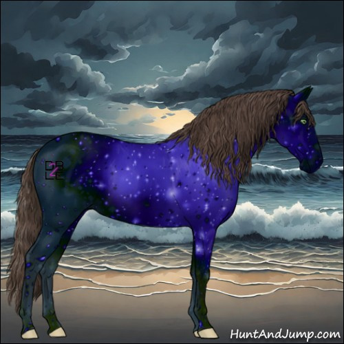 Horse Color:Amber Champagne 