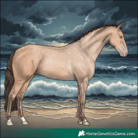 Horse Color:Amber Champagne