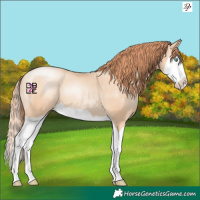 Horse Color:Amber Champagne Pearl Splash