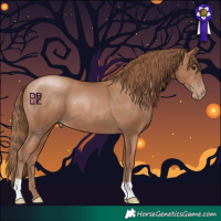 Horse Color:Black Pearl