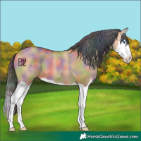 Horse Color:Nacre Bay Dun Splash
