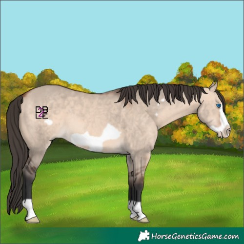 Horse Color:Bay Dun Mushroom Frame
