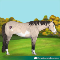 Horse Color:Bay Dun Mushroom Frame 