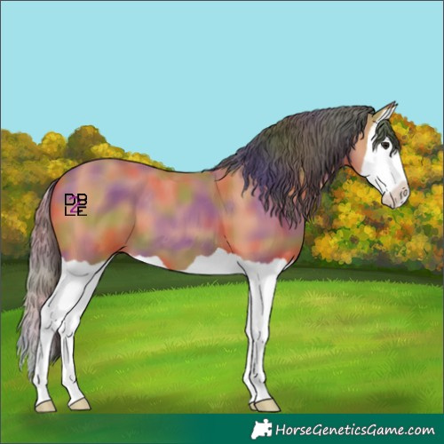 Horse Color:Nacre Bay Splash