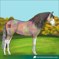Horse Color:Nacre Amber Champagne Splash 