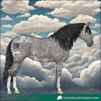 Horse Color:Grullo Ice 