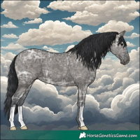 Horse Color:Grullo Ice 