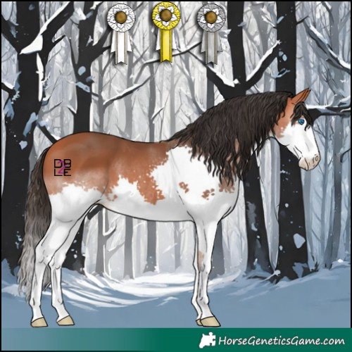 Horse Color:Bay Splash 