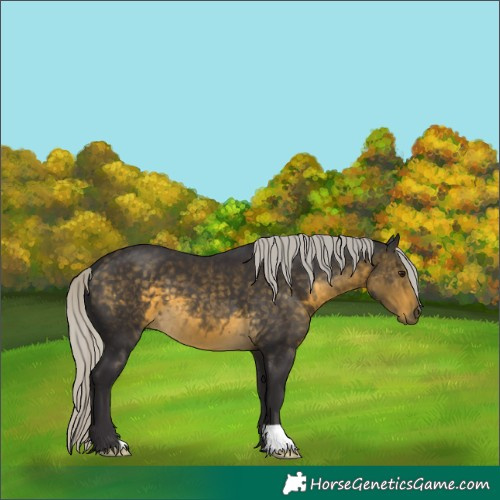 Horse Color:Silver Buckskin 