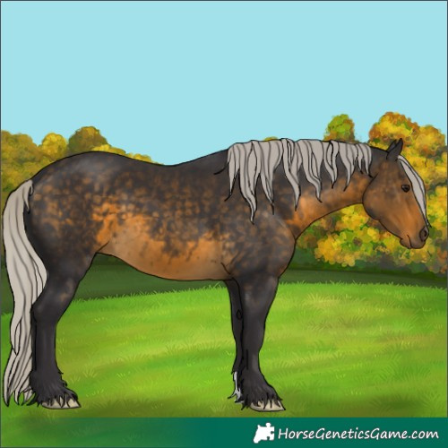 Horse Color:Silver Buckskin