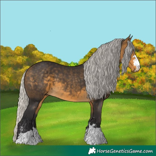 Horse Color:Silver Buckskin 