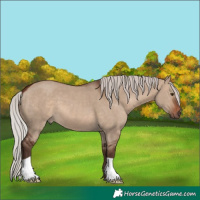 Horse Color:Silver Brown Dun