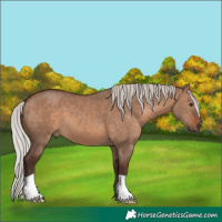 Horse Color:Silver Brown Dun 