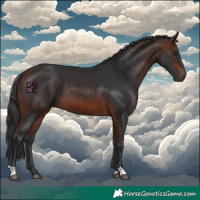 Horse Color:Brown 