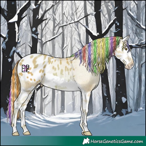 Horse Color:Painted Watercolor Liver Chestnut Pearl Splash Appaloosa 