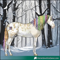 Horse Color:Painted Watercolor Liver Chestnut Pearl Splash Appaloosa 