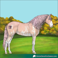 Horse Color:Platinum Painted Gold Champagne Sabino