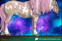 Horse Color:Watercolor White Spotted Buckskin 