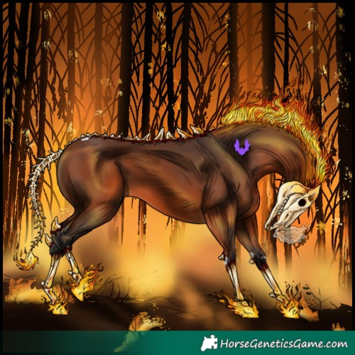 Horse Color:Bay Tobiano 