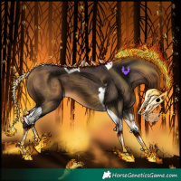 Horse Color:Buckskin Tobiano 