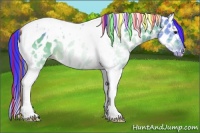 Horse Color:Painted Watercolor White Spotted Brown Ice Tobiano Appaloosa 