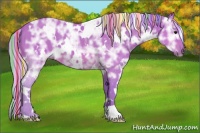Horse Color:Painted Watercolor White Spotted Silver Brown Ice 