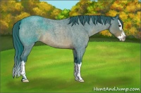 Horse Color:Watercolor Brown Roan Splash 