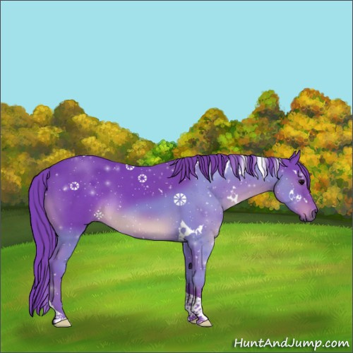 Horse Color:Watercolor White Spotted Smoky Black Tobiano Rabicano 