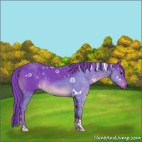 Horse Color:Watercolor White Spotted Smoky Black Tobiano Rabicano 