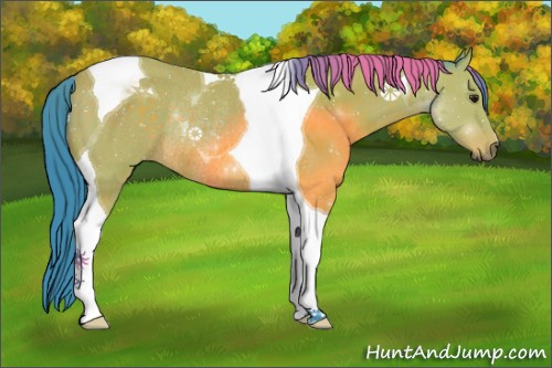 Horse Color:Watercolor Buckskin Tobiano Rabicano