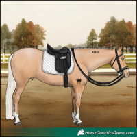 Horse Color:Silver Bay Pearl 