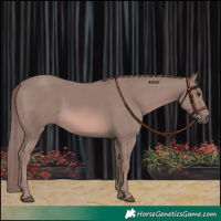Horse Color:Platinum Chestnut 