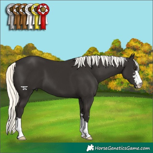 Horse Color:Liver Chestnut Mushroom 